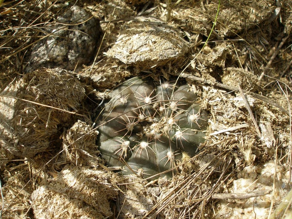 P1016381