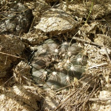 P1016381