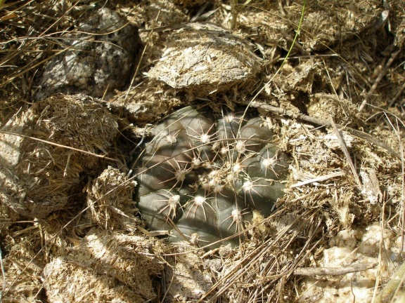 P1016381