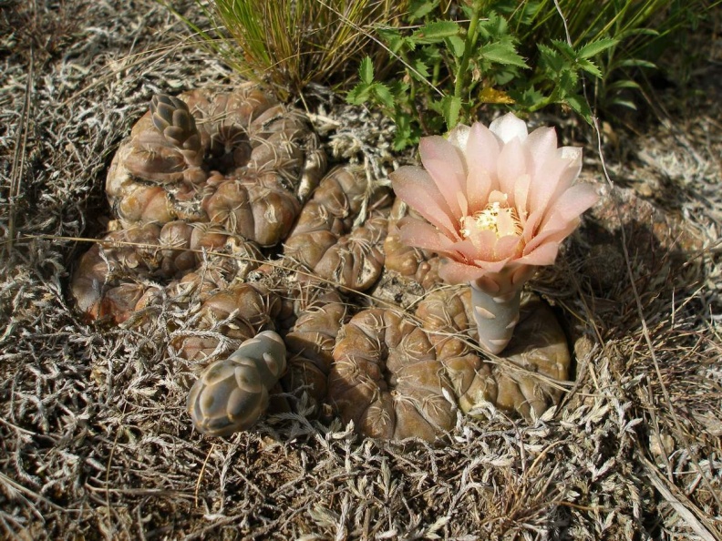 P1016382