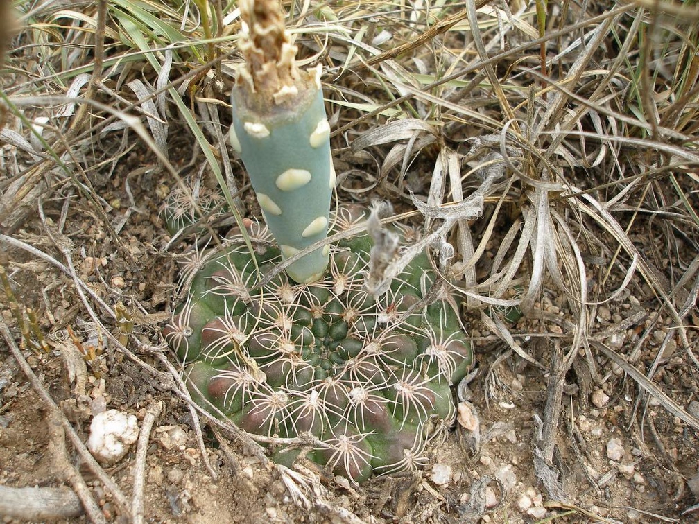 P1016383