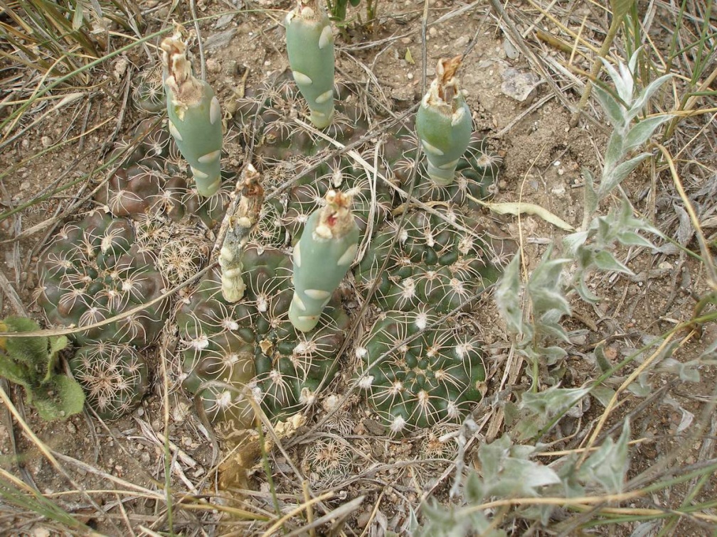 P1016385
