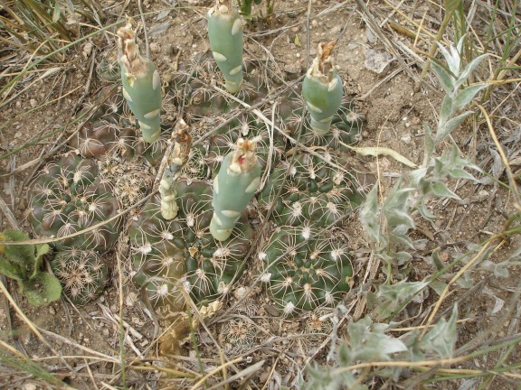 P1016385