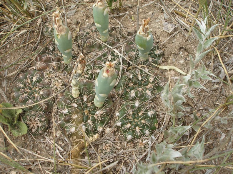P1016385