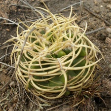 P1016386