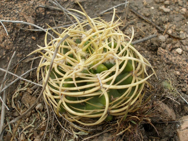 P1016386