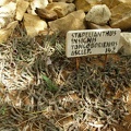 Поездка Сергея Червинко на Мадагаскар зимой 2009