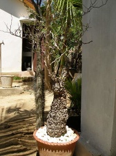 Поездка Сергея Червинко на Мадагаскар зимой 2009