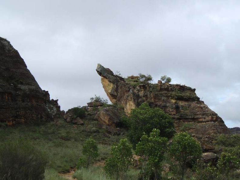 madag-P1175860.JPG