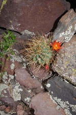 Поездка Ирины Рыжковой в Перу в ноябре-декабре 2009