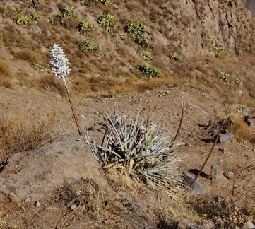 Поездка Ирины Рыжковой в Перу в ноябре-декабре 2009