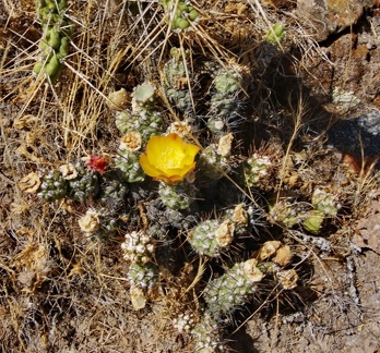 Поездка Ирины Рыжковой в Перу в ноябре-декабре 2009