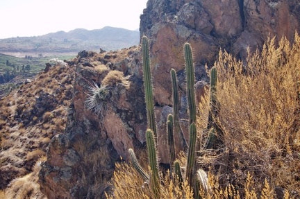Поездка Ирины Рыжковой в Перу в ноябре-декабре 2009