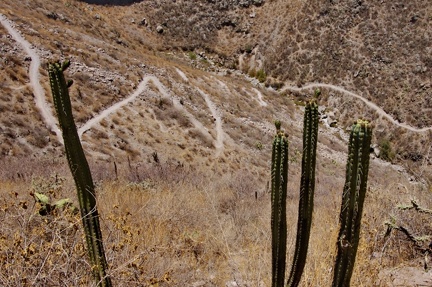 Поездка Ирины Рыжковой в Перу в ноябре-декабре 2009