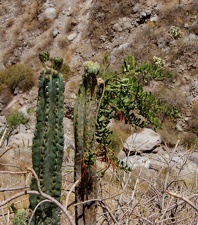 Поездка Ирины Рыжковой в Перу в ноябре-декабре 2009