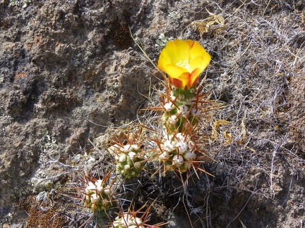 Поездка Ирины Рыжковой в Перу в ноябре-декабре 2009