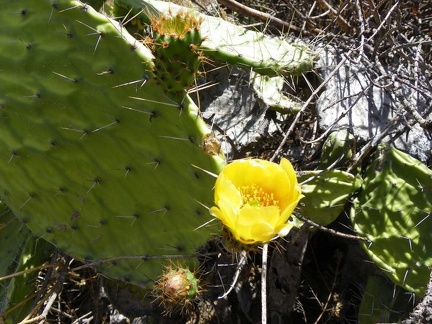 Поездка Ирины Рыжковой в Перу в ноябре-декабре 2009