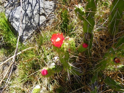 Поездка Ирины Рыжковой в Перу в ноябре-декабре 2009