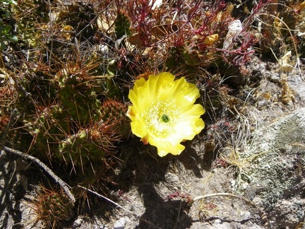 Поездка Ирины Рыжковой в Перу в ноябре-декабре 2009