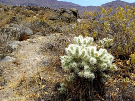 Поездка Ирины Рыжковой в Перу в ноябре-декабре 2009