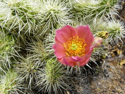 Поездка Ирины Рыжковой в Перу в ноябре-декабре 2009