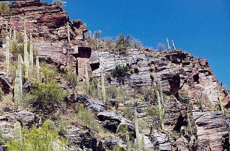 Sabino-1.jpg