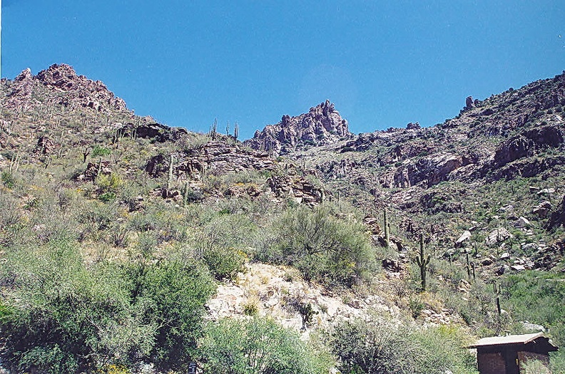Sabino-10.jpg