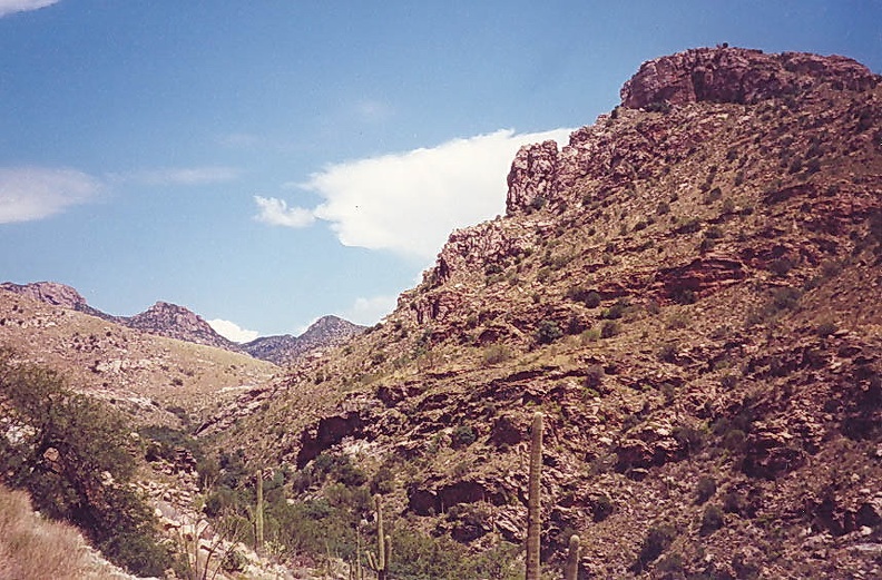 Sabino-11.jpg