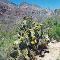 Sabino-12.jpg