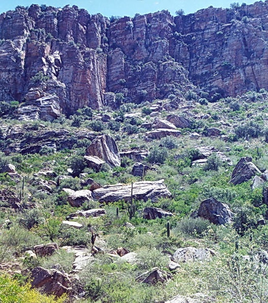 Sabino-15.jpg