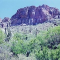 Sabino-17.jpg