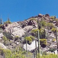 Sabino-4.jpg