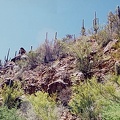 Sabino-6.jpg