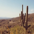 Sonora Mount Lemmon