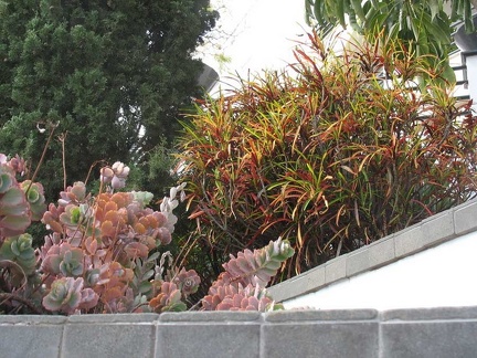 Остров Тенерифе