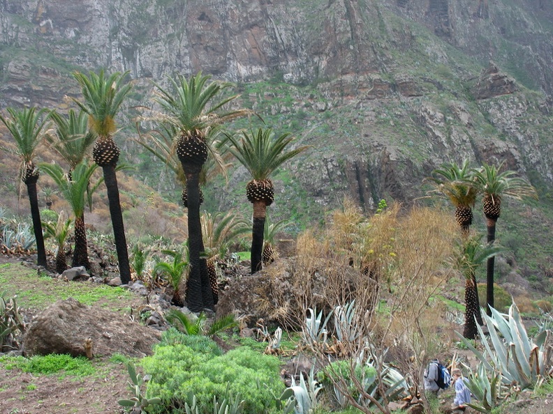 Остров Тенерифе