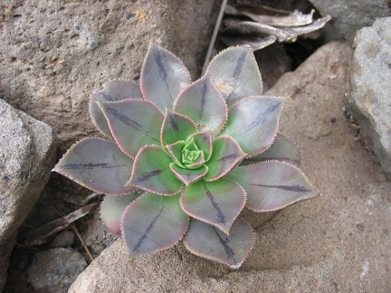 Остров Тенерифе