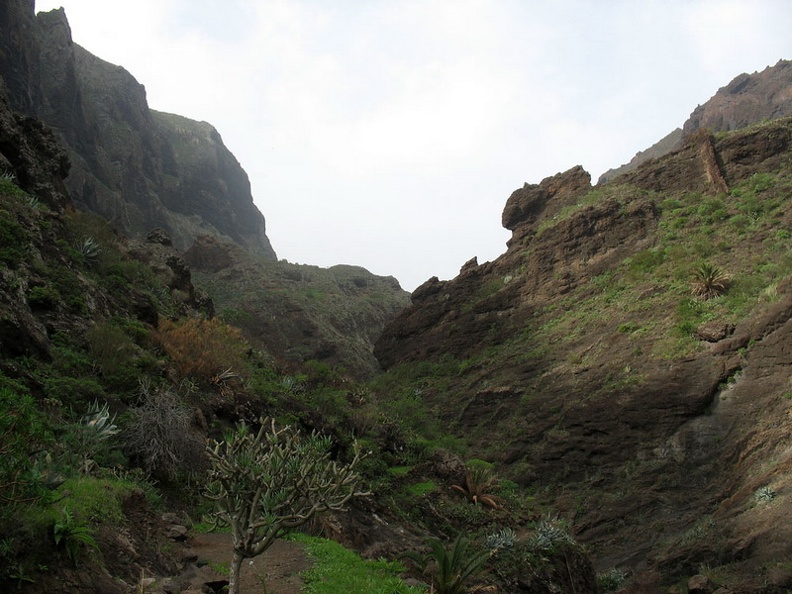 Остров Тенерифе