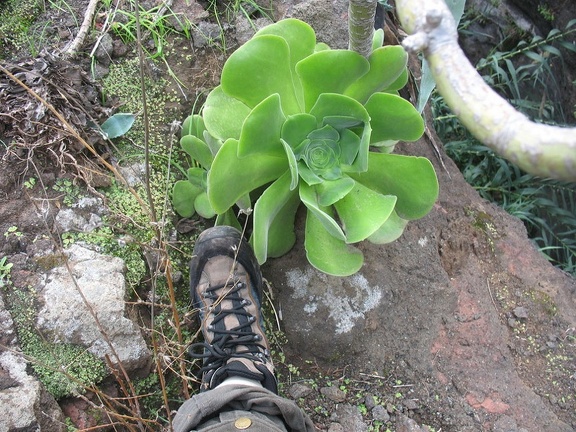 Остров Тенерифе