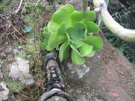 Остров Тенерифе