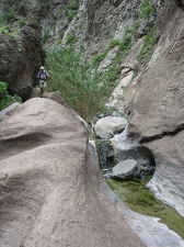 Остров Тенерифе