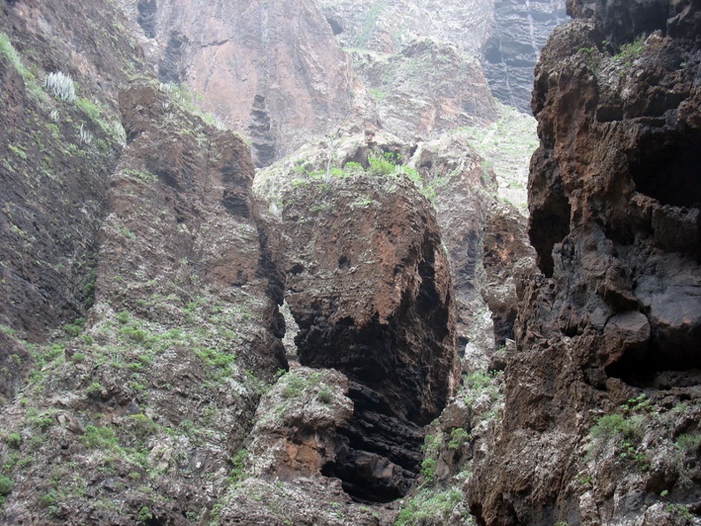 Остров Тенерифе