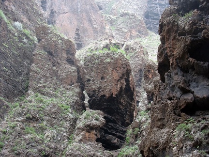 Остров Тенерифе