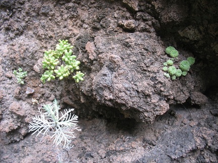 Остров Тенерифе