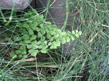 Остров Тенерифе