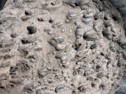 Остров Тенерифе