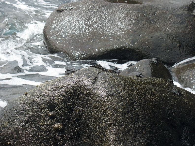 Остров Тенерифе