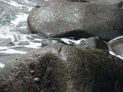 Остров Тенерифе