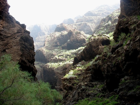 Остров Тенерифе