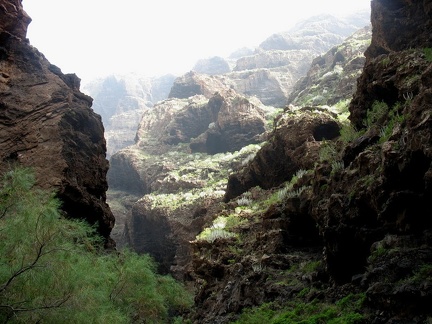 Остров Тенерифе